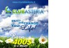 Club Asteria - 400$ в неделю!