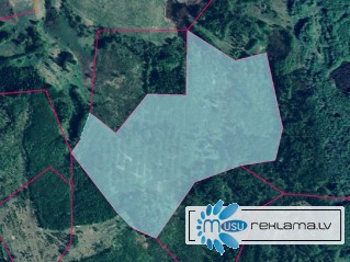 PĀRDOD: 19.4 ha lauksaimniecības zeme (19.1 ha mežs), Lejupītes, Pildas pagasts, Ludzas novads.