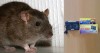Крысопуг Тайфун ЛС 800 ультразвуковой электронный отпугиватель грызунов, мышей и крыс