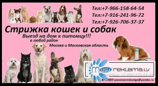 Стрижка кошек и собак Выезд на дом в любой район Москвы и Московской области