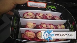 Предлагаем Эквадорскую розу Фридом Оптом напямую от производителя от 1 Коробки.