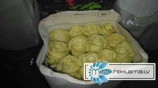 Предлагаем Эквадорскую розу Hermosa Оптом напямую от производителя от 1 Коробки.