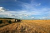 Плодородные земли, колхозы Черноземья от 100 до 15000Га сельхоз-назначения