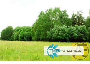 Продаю земельный учатсок 22 сотки по Дмитровсокму шоссе в Подмосковье с садовым домом